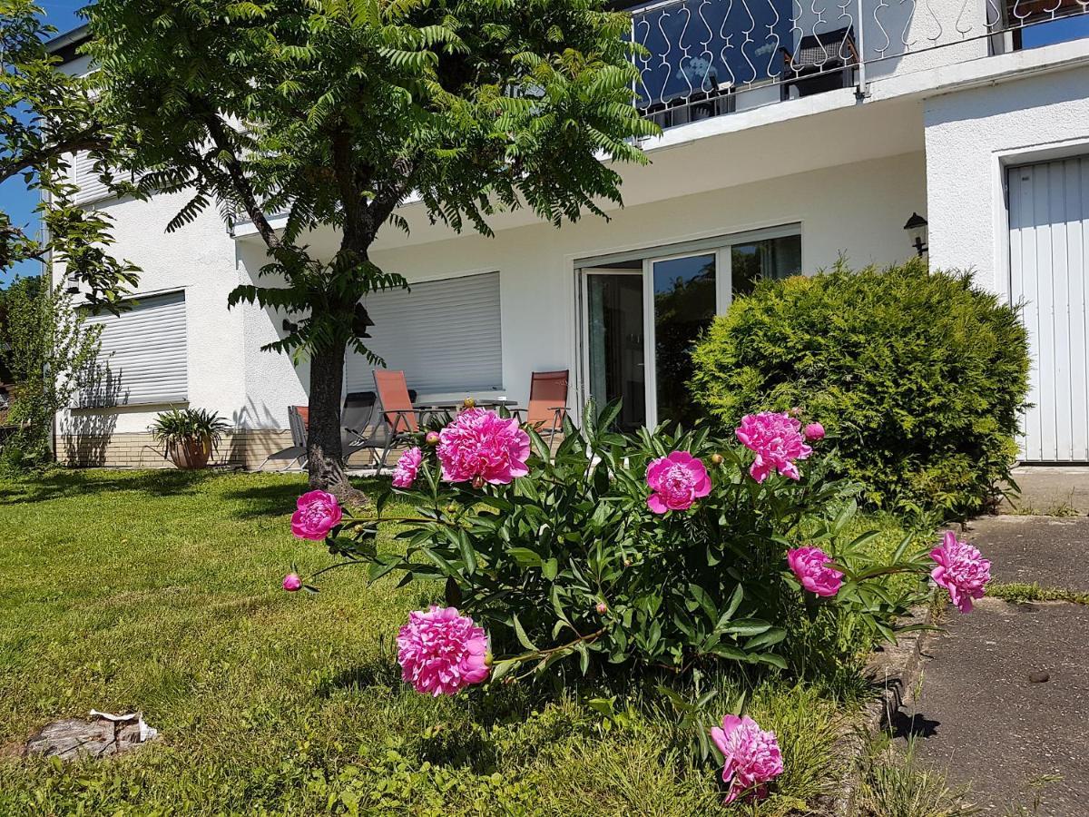 Rauszeit-Toroni Apartamento Niedenstein Exterior foto